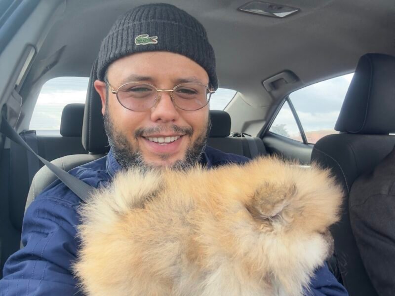 Spitz - chien à vendre Maroc