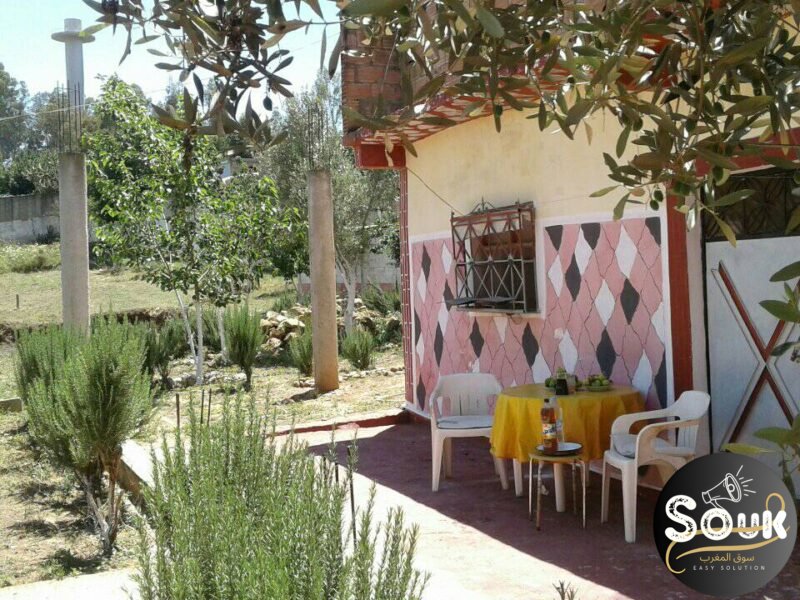 أرض بسكن للبيع في جماعة عرباوة 6 - Vente terrain Maroc