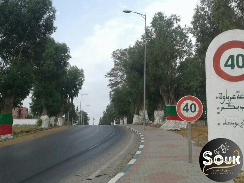 أرض بسكن للبيع في جماعة عرباوة 6 - Vente terrain Maroc