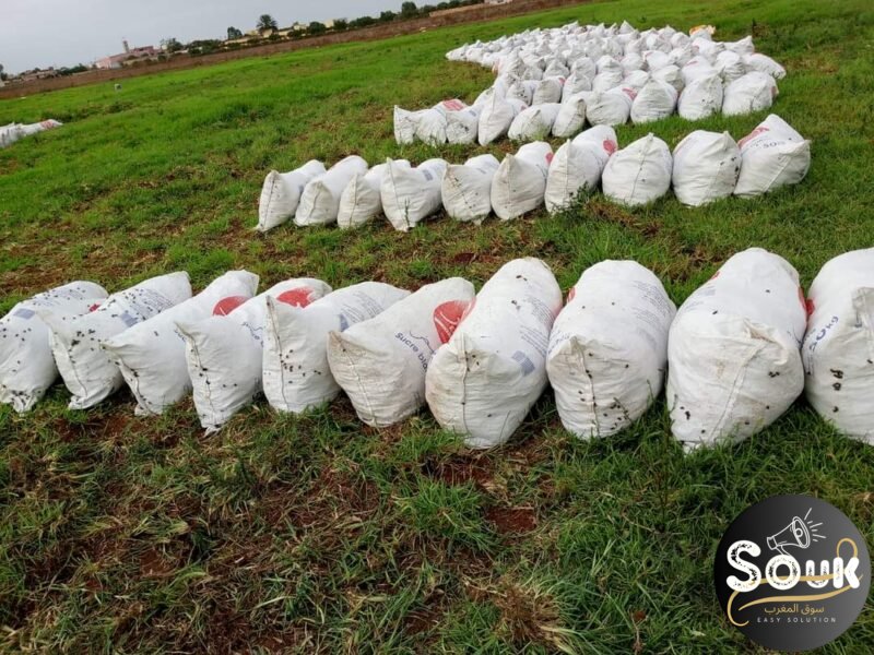 Conception et aménagements des espaces verts - سوق المغرب
