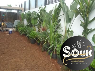 Conception et aménagements des espaces verts - سوق المغرب