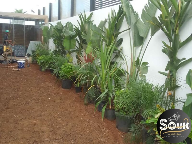 Conception et aménagements des espaces verts - سوق المغرب
