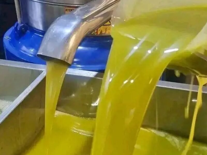 زيت زيتون جودة عالية