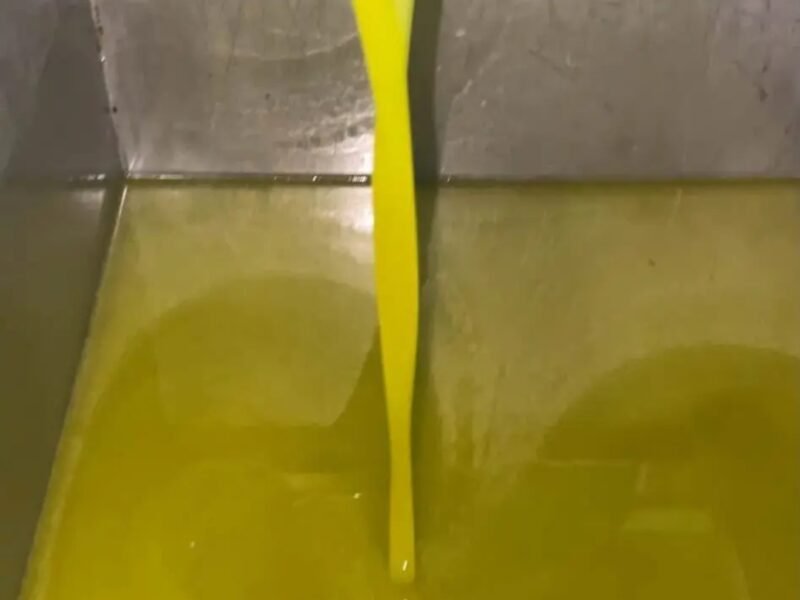 زيت زيتون جودة عالية